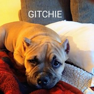 Meet your Posher, Edwin